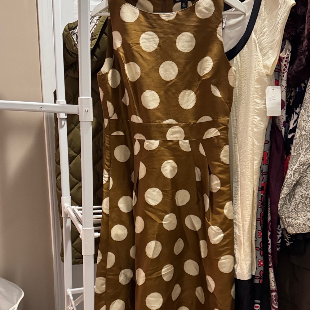 Banana Republic Brown and Cream Polka Dot Midi Dress
